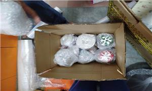 Kiến Vàng Chuyển Nhà – Gọi Là Có Ngay – 0961 729 729